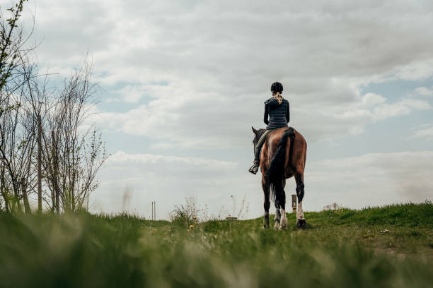 Horse Riding Events