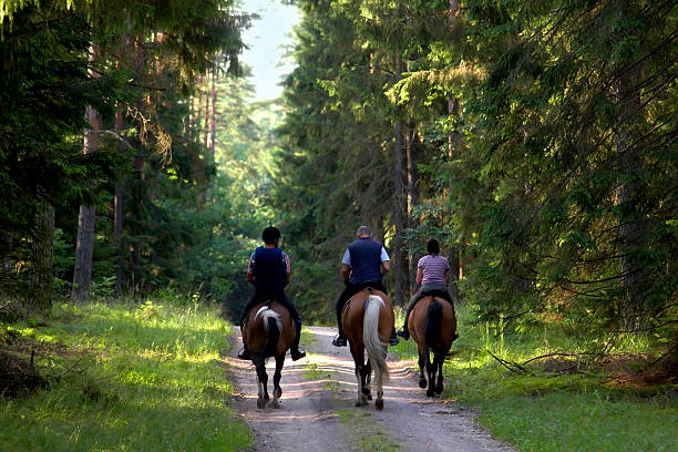 Trail Horseback Riding