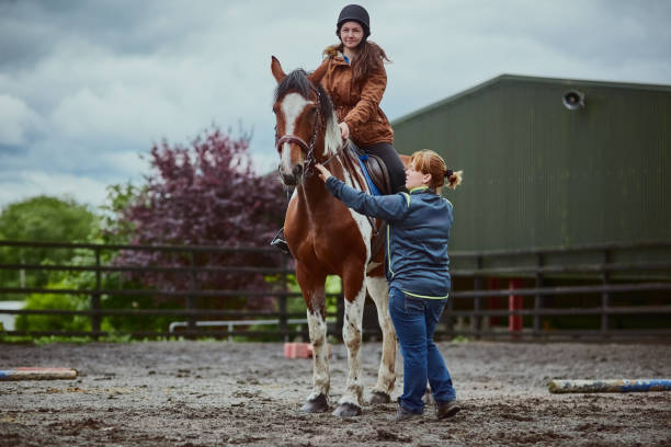 Expert Instructor Teaching
